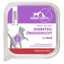 Diabetes/Übergewicht mit Rind