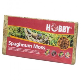 HOBBY Sphagnum Moos 100g (34170)